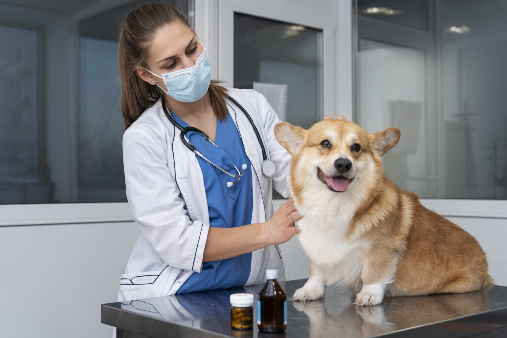  Revival Animal Health 